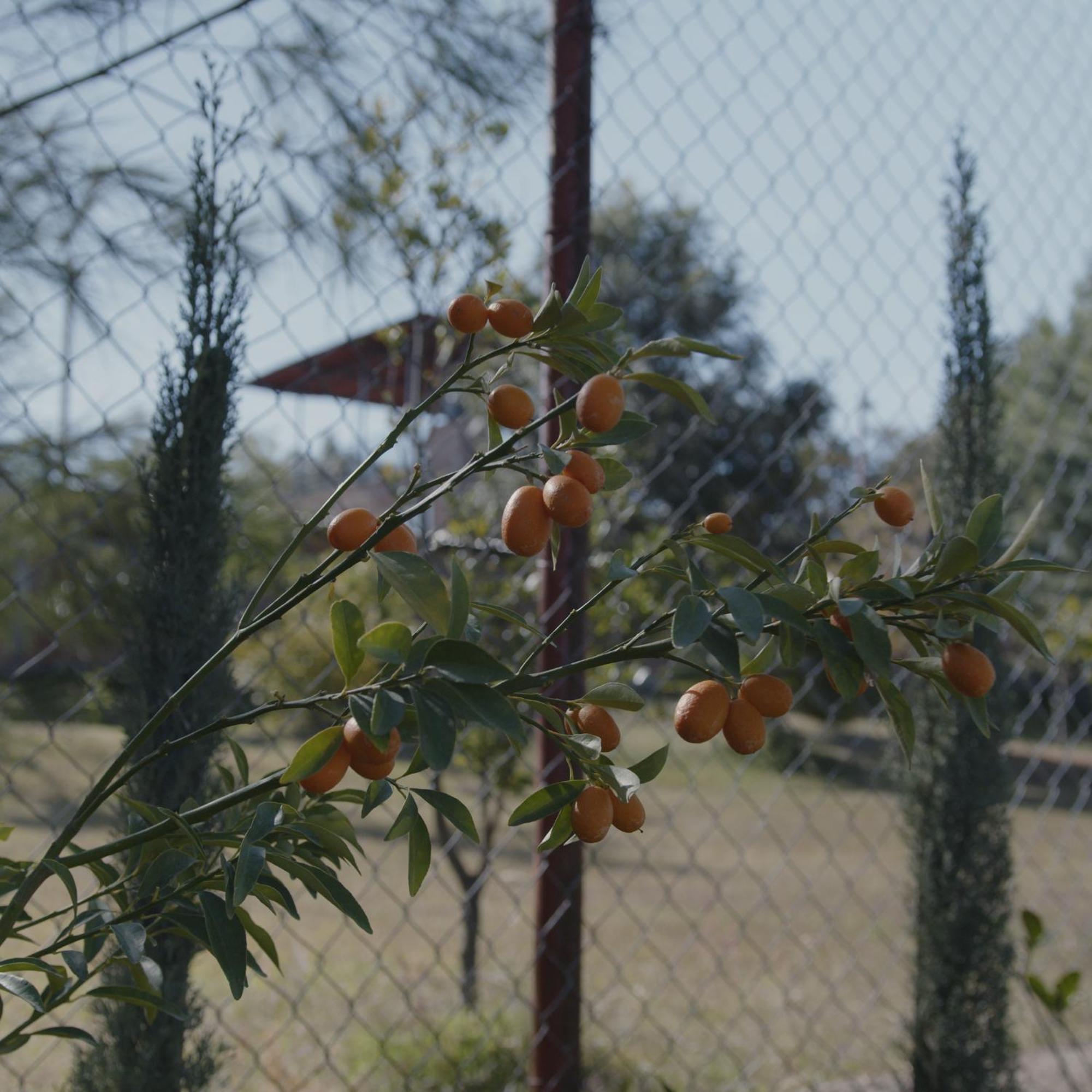 Finca La Cumbre Tepatitlán de Morelos Eksteriør billede